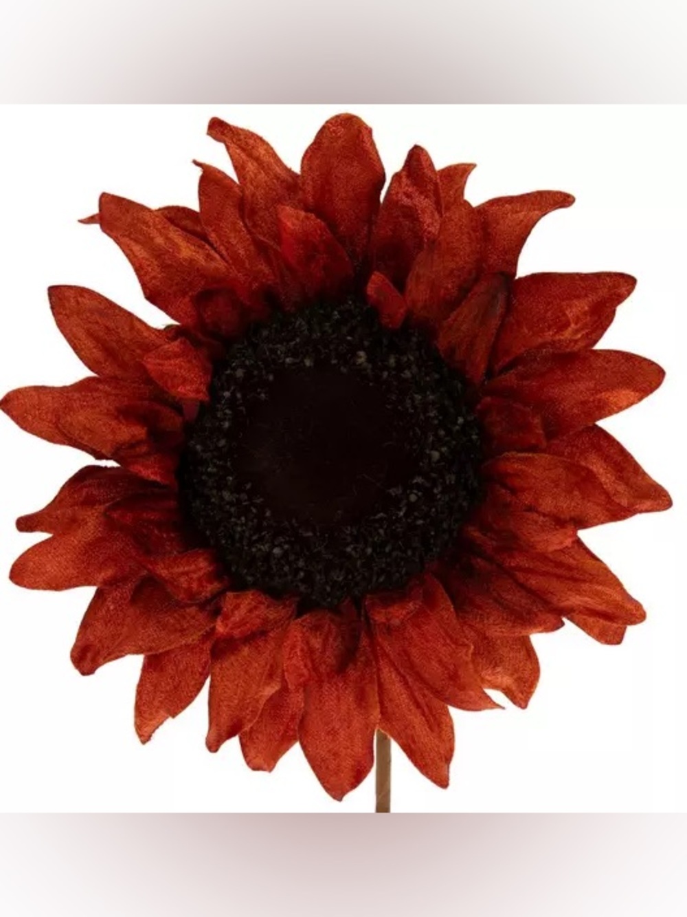 (3) Rust Sunflower Pick